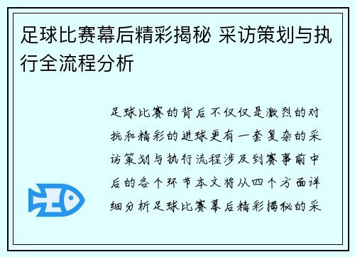 足球比赛幕后精彩揭秘 采访策划与执行全流程分析