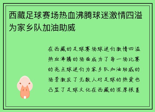 西藏足球赛场热血沸腾球迷激情四溢为家乡队加油助威