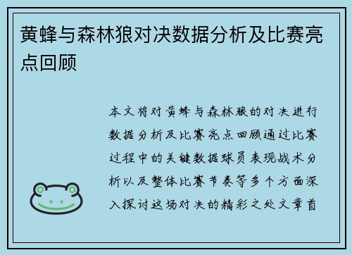 黄蜂与森林狼对决数据分析及比赛亮点回顾