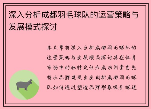 深入分析成都羽毛球队的运营策略与发展模式探讨